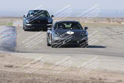 media/Nov-01-2025-PCA Central Coast (Sat) [[5e27ded23e]]/White Group/Grapevine/